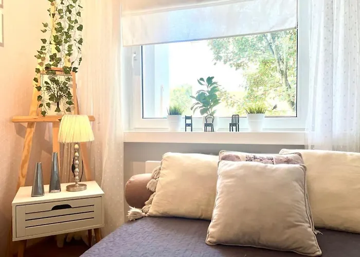 Comfort Home