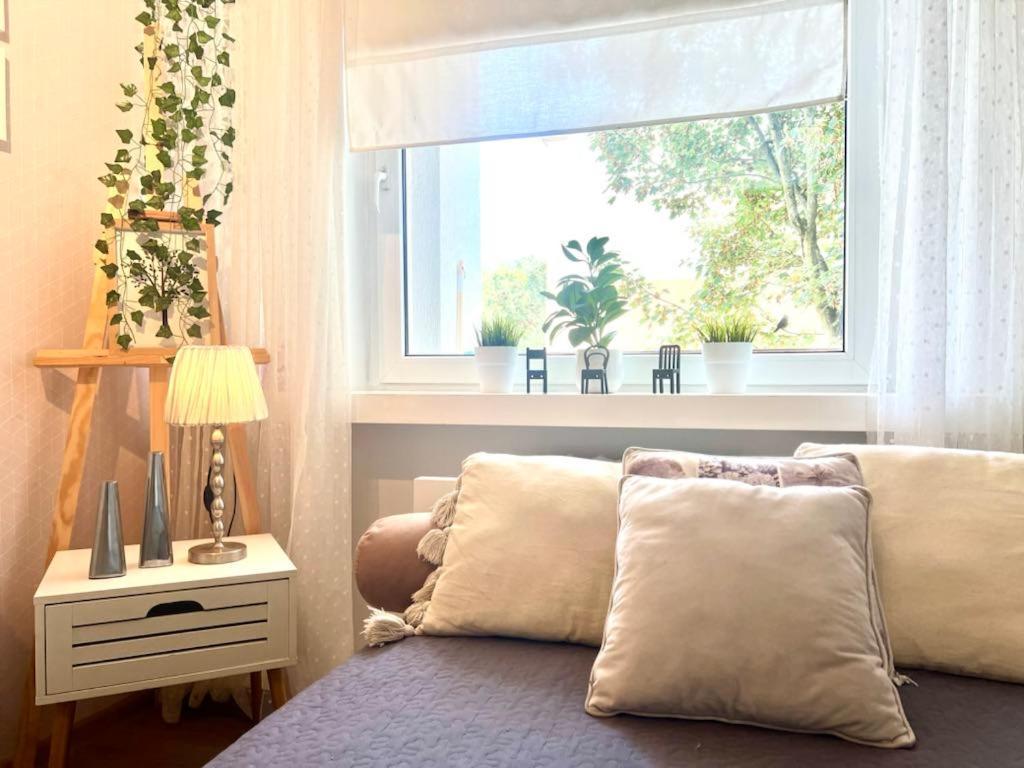 Apartment Comfort *